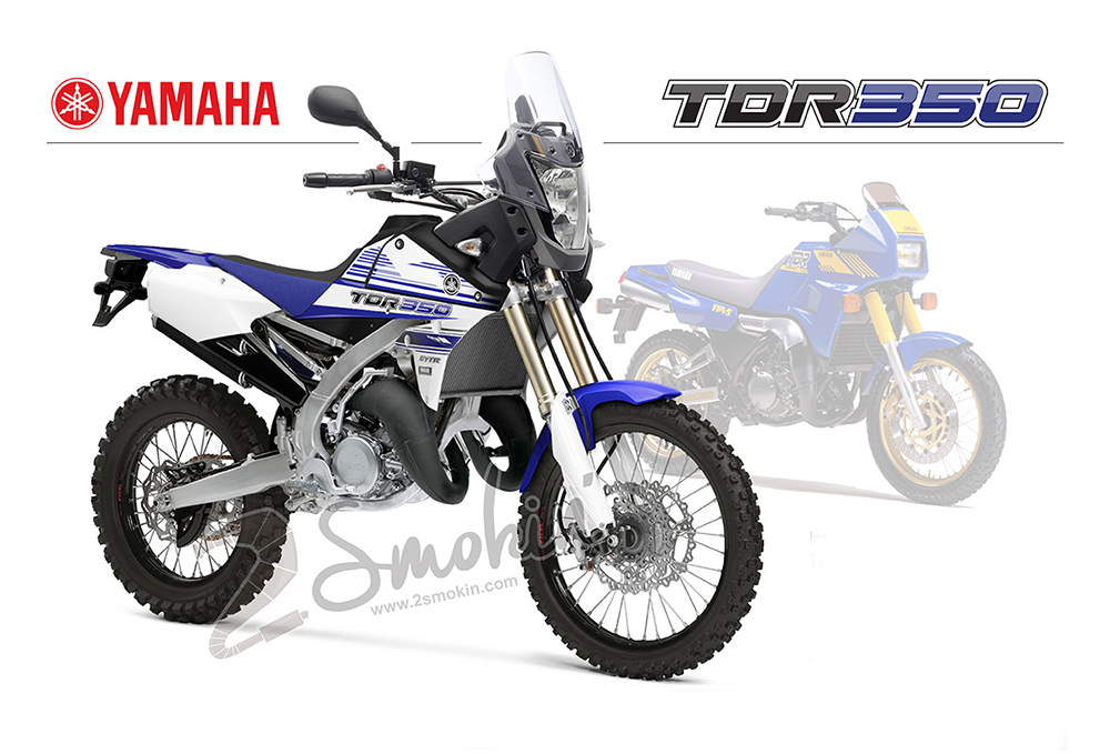 Yamaha TDR350 Concept